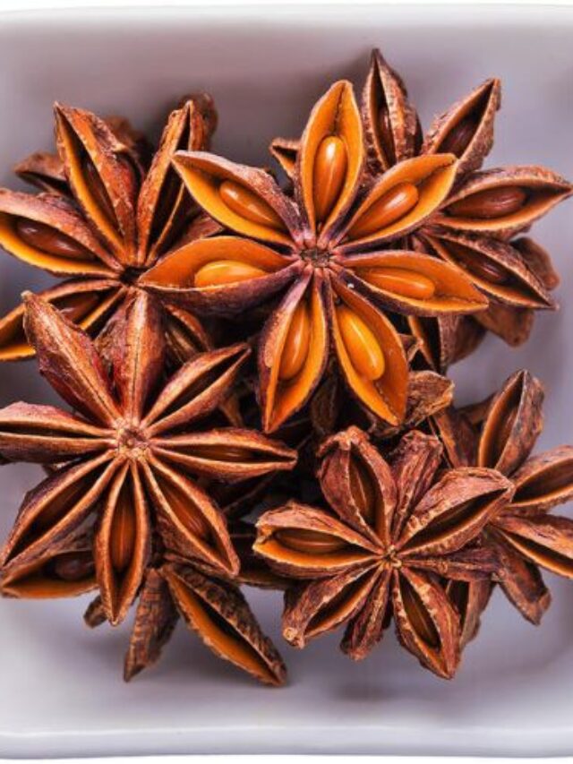 Star Anise, Health Benefits